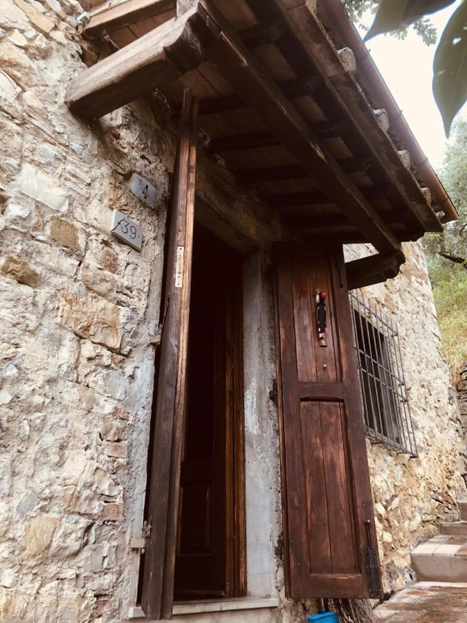 Mea Casa Toscana Castellina in Chianti Eksteriør billede