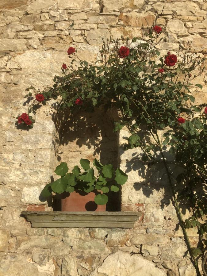 Mea Casa Toscana Castellina in Chianti Eksteriør billede