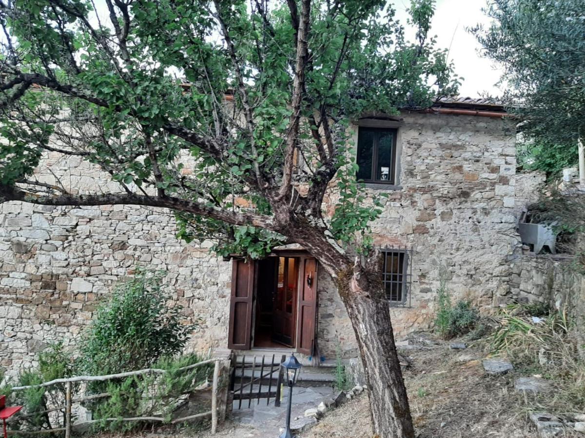 Mea Casa Toscana Castellina in Chianti Eksteriør billede