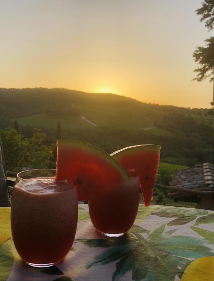 Mea Casa Toscana Castellina in Chianti Eksteriør billede