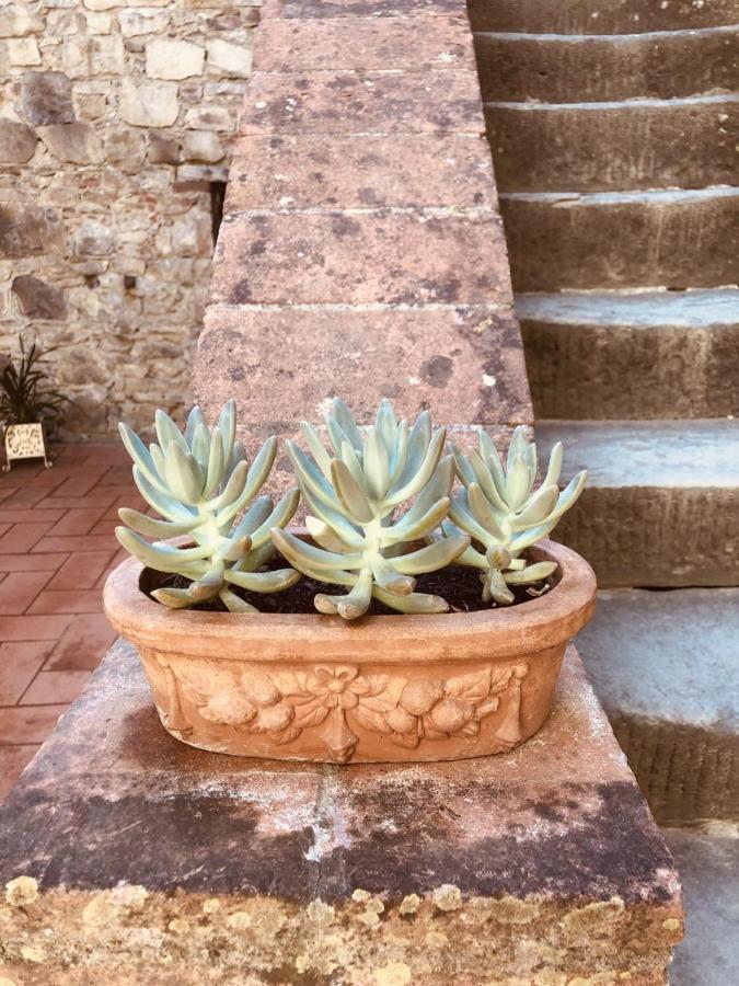 Mea Casa Toscana Castellina in Chianti Eksteriør billede